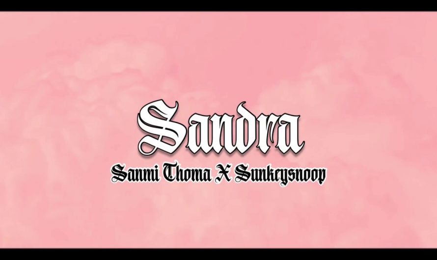 Sanmi Thomas & Sunkkeysnoop – Sandra (Official Lyrics Video) NEW AFROBEATS MUSIC