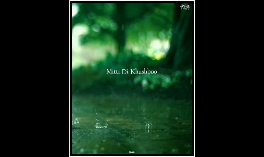 Miti Di Khushboo | Ayushmann Khurrana | Hindi Song Lyrics Video | Khichuri | Shorts