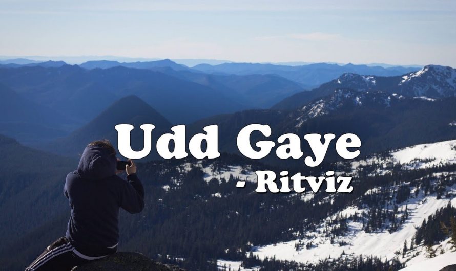 Ritviz – Udd Gaye Lyrics Video