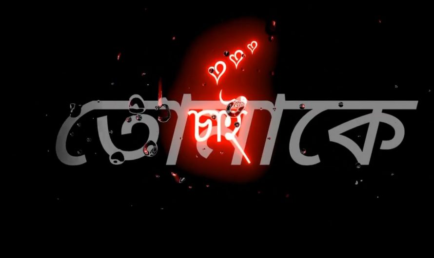 tomake chai black scene status। new hindi lyrics video song।bangla black scene lyrics video #lyrics