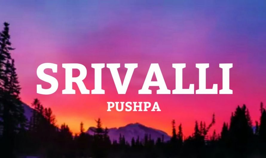 Srivalli Hindi | Lyrics | Pushpa | Allu Arjun | Javed Ali  || Lyrical Video