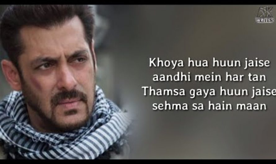 Tere Ishq Mein ( Lyrics ) Ft. Salman Khan | Sad Song