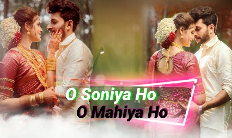O Soniya Hindi Love Status Video//Lyrics Video//Nilamani Nag BOIW