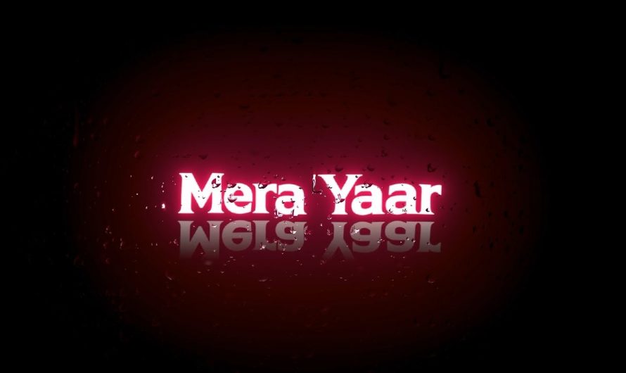 Mera Yaar Meri Daulat Hindi lyrics video 🌹🌹🥰🥰#lyrics#blackscreen#status#tranding#viral#friends🌹🥀🌹🥀🌹🥀