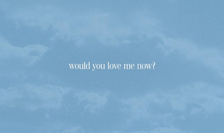 Joshua Bassett – would you love me now? (Official Lyric Video)