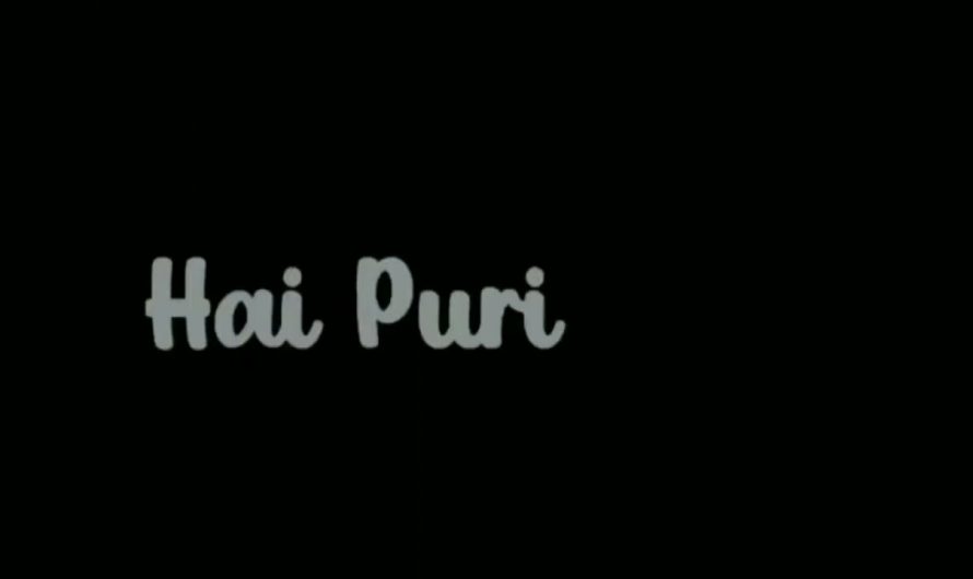 😍Hai puri 😇 no copyright | Hindi lyrics status video black screen video # trending # lyrics