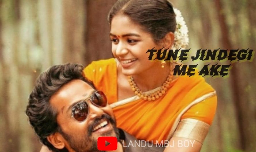 Tune Jindegi me aake |Hindi status video #hindisong #hindi Lyrics video #hindiwhatsappstatus#LANDU